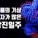 [신논현 사주] 천기누설 종합운세 및 신년사주 후기 &lt;엔터사주타로&gt;