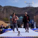 강원도 정선 동강할미꽃 축제 후기 가볼만한곳