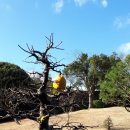 생각하는정원 이미지