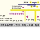 아라종합동물병원 이미지