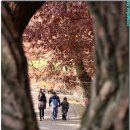 삼천궁여