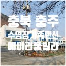 정원슈퍼 | 미온수 수영장이 있는 가족펜션 충주 애이리풀빌라 이용후기 (B1)