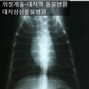 버팔로 동물병원 네이버블로그
