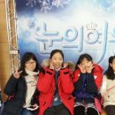 가족뮤지컬 눈의 여왕 Daum카페