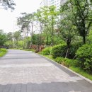 더샵비전부동산공인중개사사무소 네이버블로그