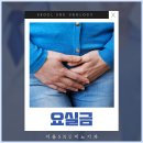 에스앤유서울비뇨기과 이미지