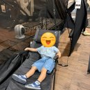 남동88 | [캠핑]송도 고릴라캠핑 구경 후기/캠핑용품 사기 좋은 곳/캠핑 초보라면 꼭 가보세요