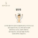 메스티(MESTY) 네이버블로그
