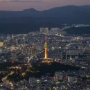 진심담다 이미지