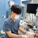 강남동물병원 이미지