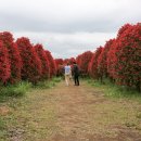 송하농장 이미지