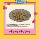 경북깐마늘 | [공지] 알싸한 풍미와 신선함의 조화 홍산유황 깐마늘과 가리비 요리
