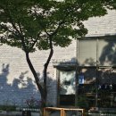 에그드랍(교동택지점) | [강릉교동맛집/강릉교동카페] 교동 택지에서 보낸 하루🏠 "카페카모메", "쿠이씽"