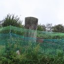 수로부인길 이미지