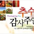 추수로 이미지