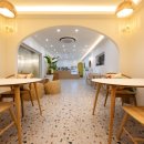 옐로우연화 이미지