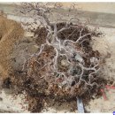 놀부농장 이미지