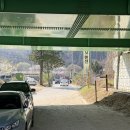 대성국민관광지(안내소) | 서울근교 가평 대성리 국민관광지 벚꽃개화시기 벚꽃축제 후기