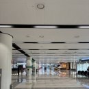 김포공항 피치항공 기내 수하물 초과, 다이소 가는 법, 수하물보관소 가격 금액
