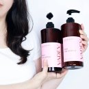 미용실 샴푸 추천 바디브 향기좋은 맥주효모 탈모샴푸 헤어 트리트먼트 후기