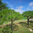 수평목장 | 부부형 수목장 분양 시 알아두면 좋은 세 가지 포인트