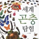 명우투어 이미지