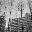 월드컵경기장 3가 1 이미지