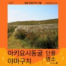 터미널카정비센터 | 일본 야마구치 가을 만끽하는 아키요시다이 아키요시동굴