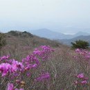 비슬산 이미지