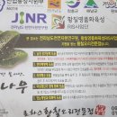 로하스황칠오리 이미지