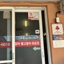 청양군운곡면보건지소 | 제주도 성산 활고등어회 맛집 남양수산｜도민 추천 서귀포 로컬 횟집