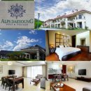 포인트골프방 이미지