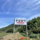 우성장어 이미지