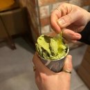 망고&체리 애견샵 이미지