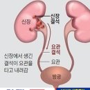 이차돌광주 이미지