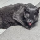 제이그루밍 이미지