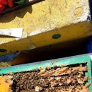 정준농장 이미지