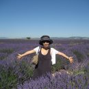 프로방스민박 이미지