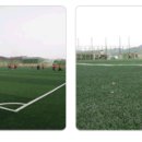 에코실외구장 야구장 이미지