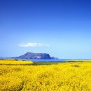 관광통역안내사_국사 이미지