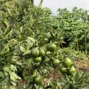 수산뜨락 이미지