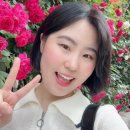 장미천국
