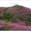 지리산신선둘레길 이미지