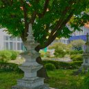 함양초교 이미지