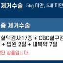 선종펫 네이버블로그