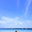 주혁목장 | [제주도한달살기]Day6_정복이 타기&amp;추억의 섭지코지&amp;제주센트럴파크(2020.06.20)