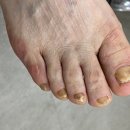 레푸스 망우점 이미지