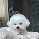 상구스타일 이미지