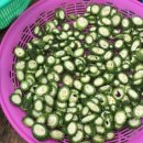 바른농산 - 남해군 봉화로531번길 35-21 | 바른농산