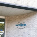 네이처스파 | 네이처스파] 파우치 도난사건이 있었지만 힐링하기 좋았던 파주 네이처 스파 후기 (노천탕, 불가마 데이트)